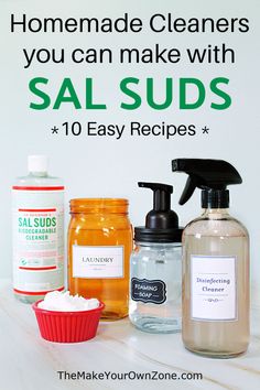 homemade cleaners you can make with sal suds and 10 easy recipes