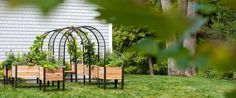 an outdoor dining table and chairs with plants growing in the planters on each side