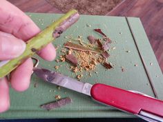 a person holding a knife and cutting up some food