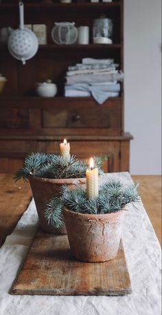 Fall Evergreen Decor, Magnolia Homes Christmas Decor, High End Crafts To Sell, Vintage Natural Christmas Decor Ideas, Threshold Christmas Decor, 19th Century Christmas, Mantle Candlesticks Decorating Ideas, Christmas Decor Ideas Cottage Core, Foraged Christmas Decor