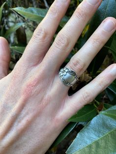 Check out this charming ring, handcrafted from a vintage silver-plated spoon adorned with flowers.  This unique piece is a size 5 and carries the character of recycled silverware, adding a touch of vintage charm to your style. The photos were taken in natural daylight, ensuring true colors with no filters or enhancements. Recycled Silverware, Vintage Spoon Rings, Vintage Spoons, Spoon Rings, Vintage Charms, Vintage Silver, True Colors, Halloween Shopping, Band Rings