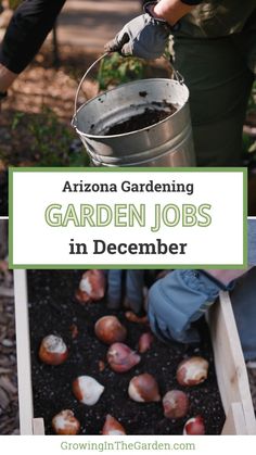 someone holding a bucket full of garden jobs in the middle of some plants and dirt