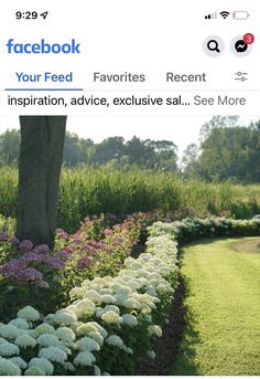 an image of a garden with flowers and plants on the bottom right side of the screen