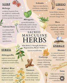 the health benefits of mascuine herbs info poster with instructions and pictures on it