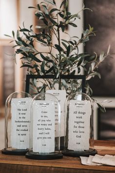 three glass bell jars sitting on top of a table next to a potted plant