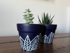 two potted plants sitting on top of a wooden table