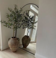 there are two vases with plants in them on the floor next to a mirror