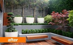 some plants are growing in white pots on the wall and wooden flooring next to a bench