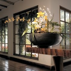 a large potted plant sitting on top of a wooden table next to a window