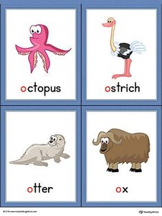 four different pictures of animals and birds in the same language, including octopus, ostrich, ox