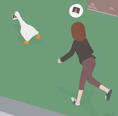 a woman is running towards a goose in the grass, with another duck looking at her