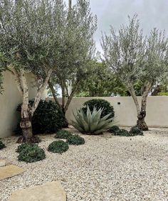 an outdoor area with rocks, trees and gravel