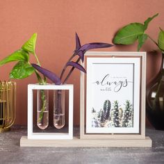 two vases with plants in them sitting on a table next to a framed poster