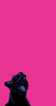 a black cat with its head up against a pink background