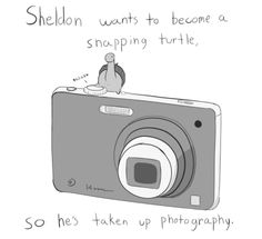 a drawing of a camera with the caption shellon wants to become a snapping turtle so he's taken up photography