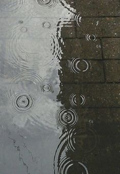 raindrops are falling on the ground and reflecting in water