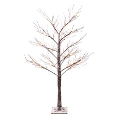 a small tree with white lights on it