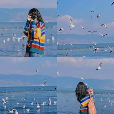 a woman is taking pictures of seagulls and birds