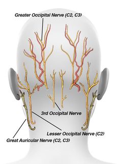 Massage Trigger Points, Ear Pimple, Painful Pimple, Feet Massage, Face Care Routine, Nerve Pain Relief, Trigger Points