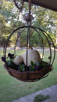 a birdcage filled with pumpkins and flowers on top of a grass field