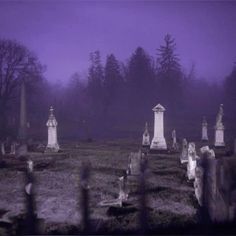 a cemetery with many headstones and trees in the background on a foggy day