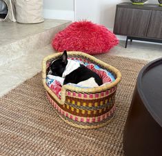 a black and white dog laying in a basket on the floor next to a red pillow