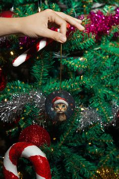 someone is decorating a christmas tree with an owl ornament