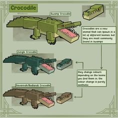 an image of crocodiles and alligators in different stages of their lifecycled