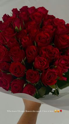 a hand holding a bouquet of red roses