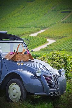 an old blue car with a basket on the roof parked in front of a vineyard