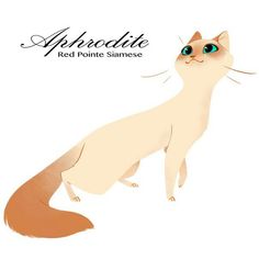 a white and brown cat with blue eyes sitting on top of a white floor next to the words apricotte red point siamese