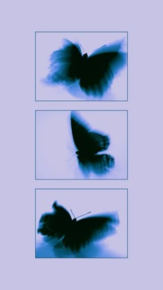 Обои Butterfly Grunge Aesthetic, Film Aesthetic Photography, Butterfly Grunge, Moving Butterfly, Aesthetic Butterfly, Film Paper, Cute Tumblr Wallpaper, Edgy Wallpaper, Photography Aesthetic