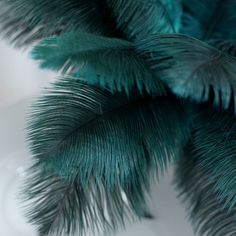 12 Pcs | Real Ostrich Feather Fringe Trim With Satin Ribbon Tape - Teal Turquoise Centerpieces Wedding, Centerpiece Filler, Feathers Diy, Feather Arrangements, Turquoise Centerpieces, Eiffel Tower Centerpiece, Teal Branding, Peacock Teal, Turquoise Bag