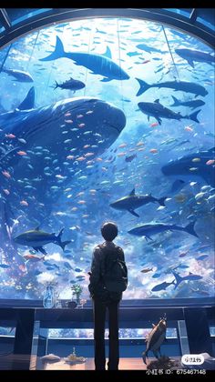 a person standing in front of an aquarium looking at fish