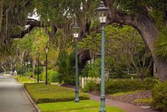 a street lined with lots of trees covered in spanish moss