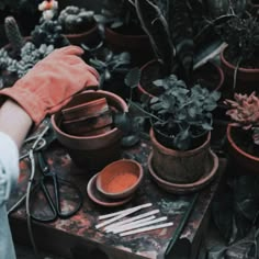 pots and gardening tools on a table with succulents