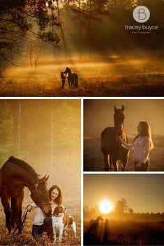 three pictures of horses and a woman with a dog at sunset, in the woods