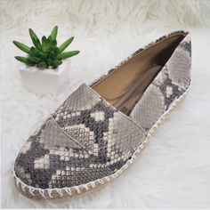 New Womens Animal Print Moccasin Style Shoes Size 7 - 10 Comfortable Flat Moccasins For Summer, Beige Slip-on Moccasins For Summer, Summer Beige Slip-on Moccasins, Beige Closed Toe Moccasins For Spring, Beige Round Toe Moccasins For Summer, Fringe Moccasin Boots, Blue Suede Loafers, Suede Fringe Boots, Cap Toe Shoes