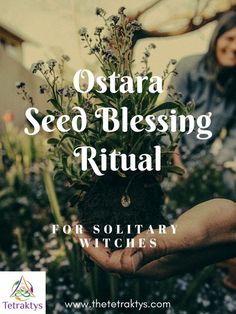 a woman holding up a potted plant with the words ostraa seed blessing ritual for solitary witches