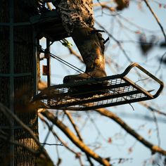 a person climbing up the side of a tree with rubber boots on it's feet