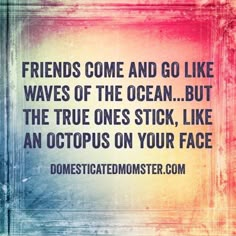 the quote friends come and go like waves of the ocean but the true ones stick, like an octopus on your face