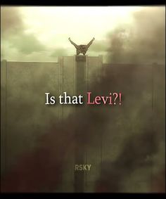 a poster with the words is that levi?