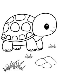 a turtle that is walking in the grass