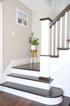 there is a potted plant on the top of some stairs in this house with white walls and wood flooring