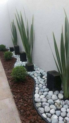 some plants and rocks in the middle of a garden area with white walls behind them