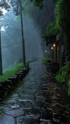 a path in the rain with an umbrella over it and lights on at the end