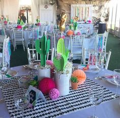 tables and chairs are set up for an event with white linens, black and white checkered table cloth, and colorful cactus centerpieces