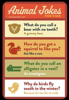 four different types of animal jokes for kids to use on their own wallpapers