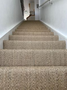 the carpeted stairs lead up to an upstairs hallway