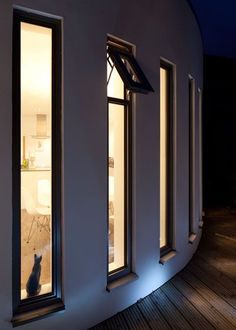 a cat sitting in the window of a house at night